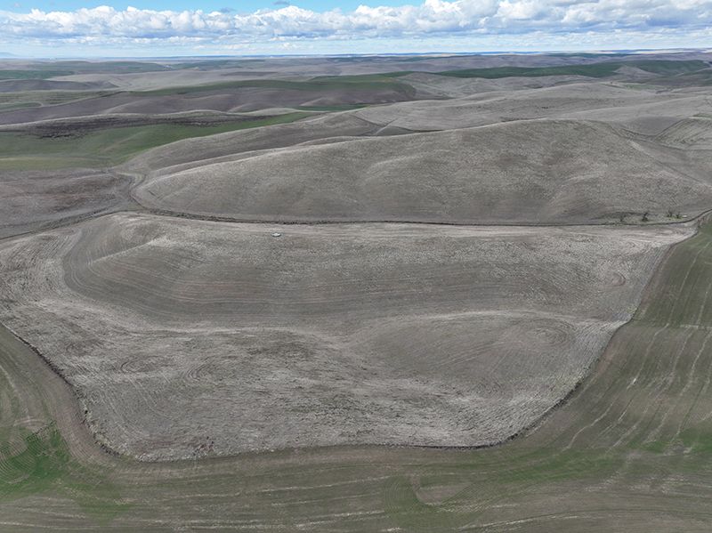 Listing Photo: Walla-Walla-County-Washington-CRP-Nonirrigated-Farm-160-Acres (4)